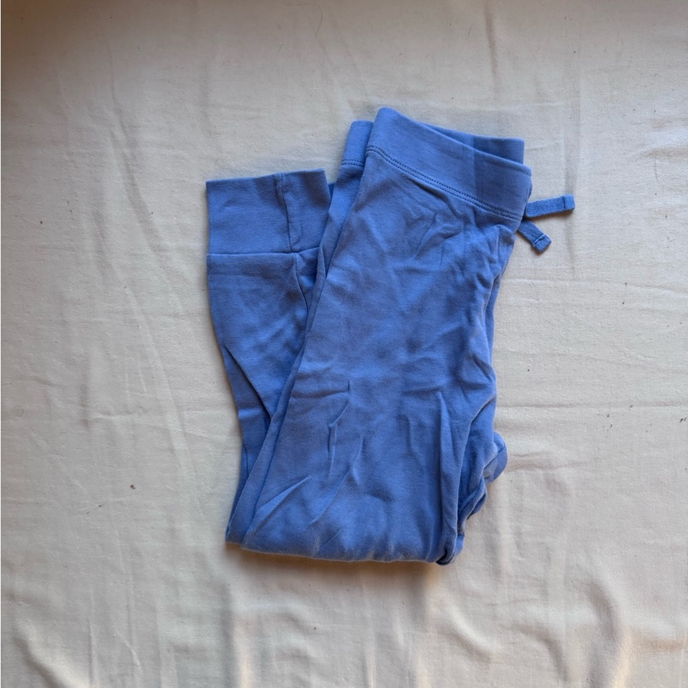 Colored Organics Soft Blue Joggers